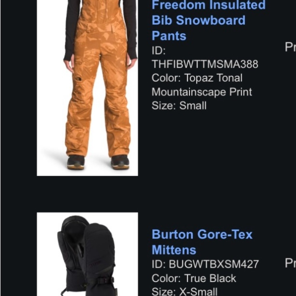 Brand New Bib and Mittens